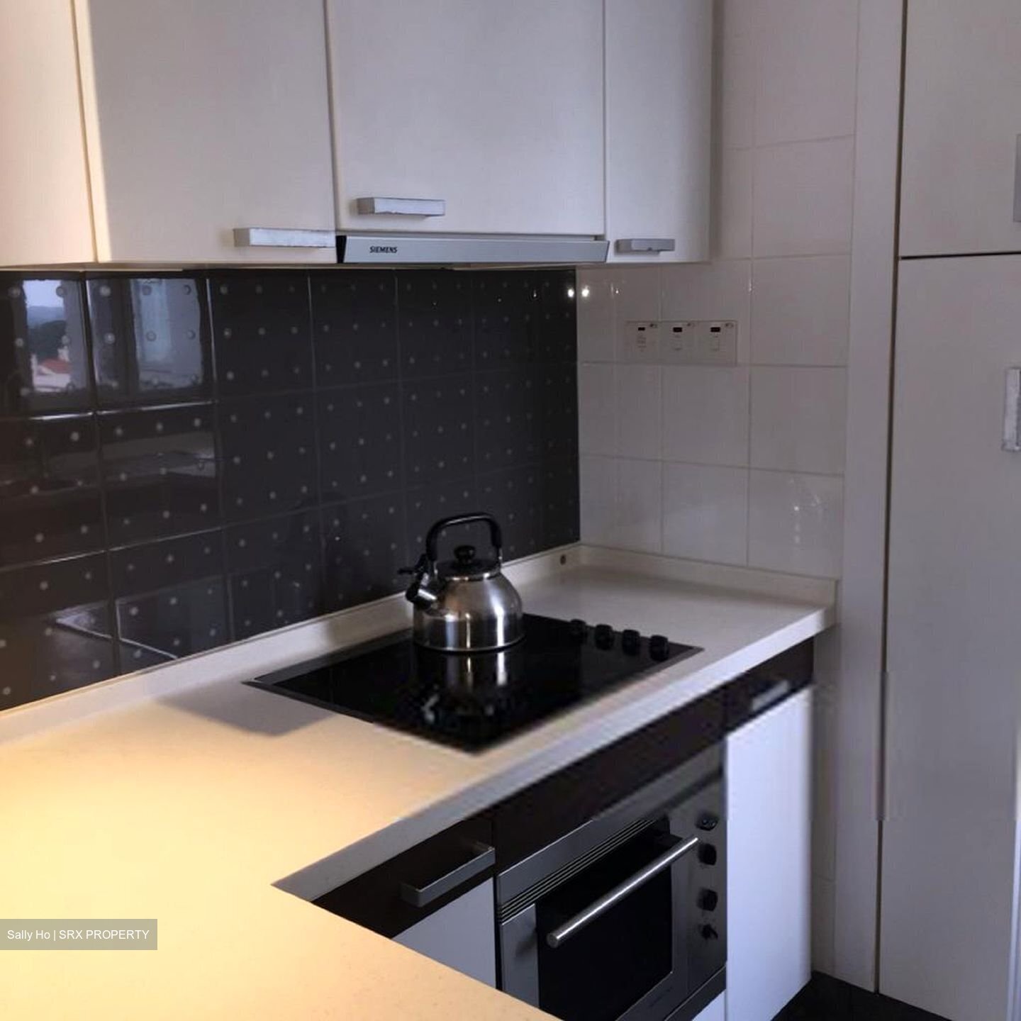 The Levelz (D10), Condominium #456931451